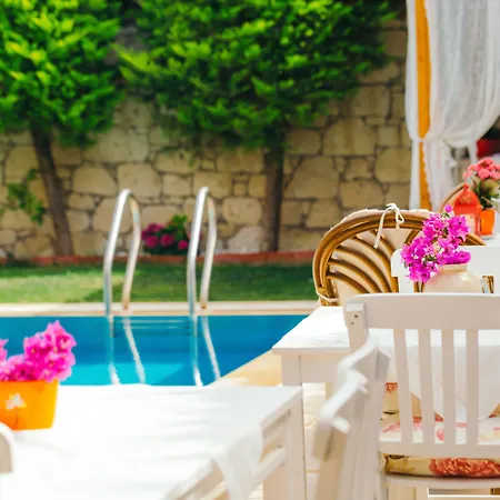 فندق فورا 2*