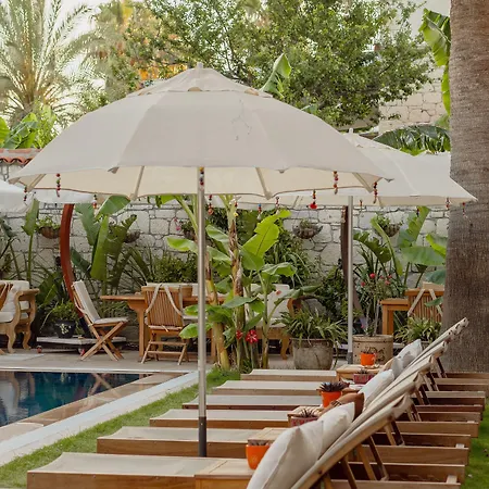 فورا ألاتشاتي