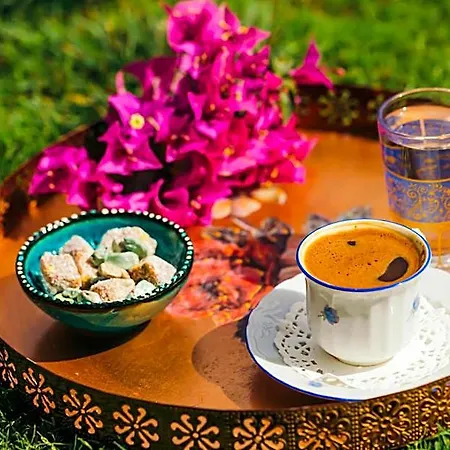 فورا فندق 2*